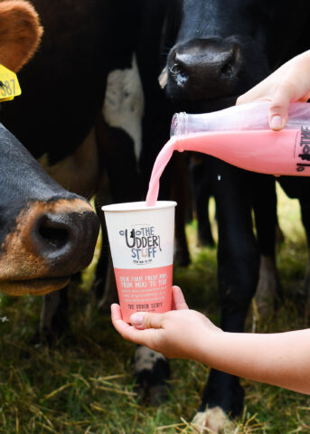 Professional Photography for Udder Stuff